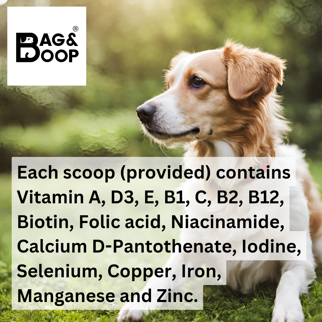 Dog vitamins