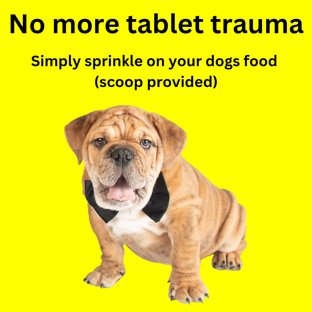 Dog vitamin powder