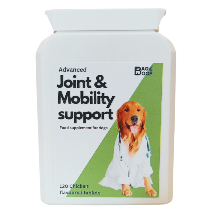 The best joint supplement for dogs with arthritis