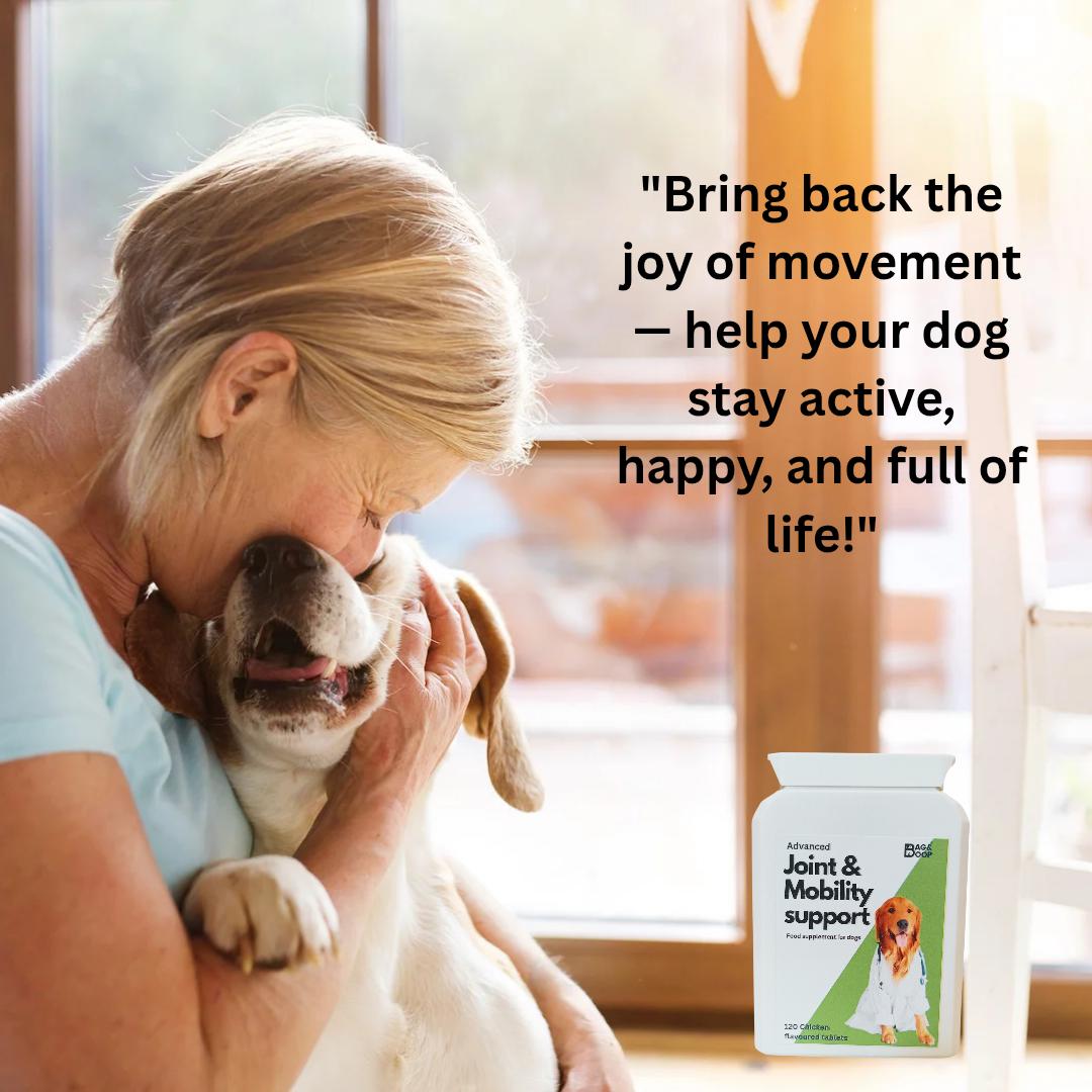 Mobility support supplement for dogs