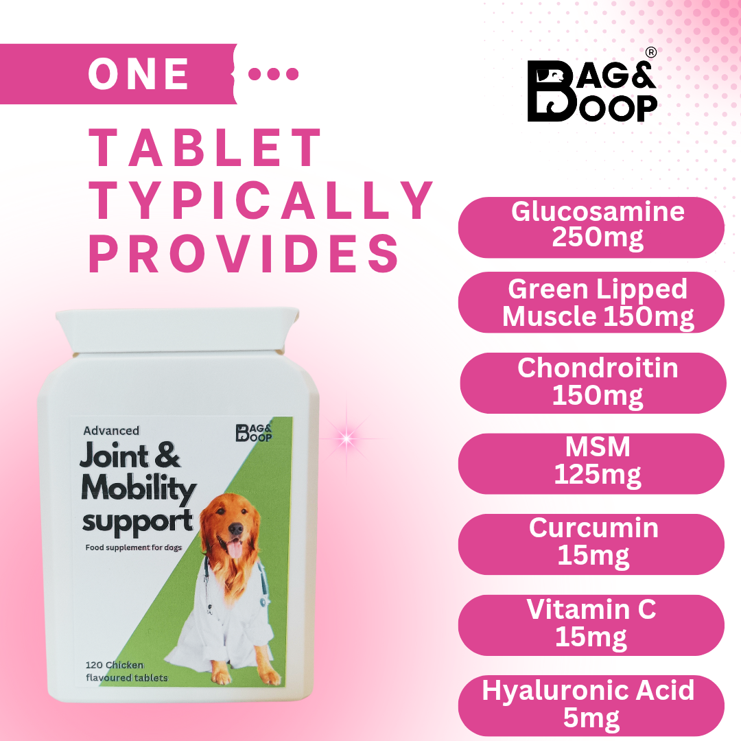Joint supplement for older dogs