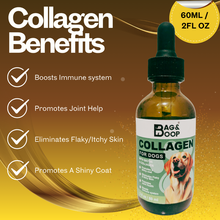 collagen benefits for dogs