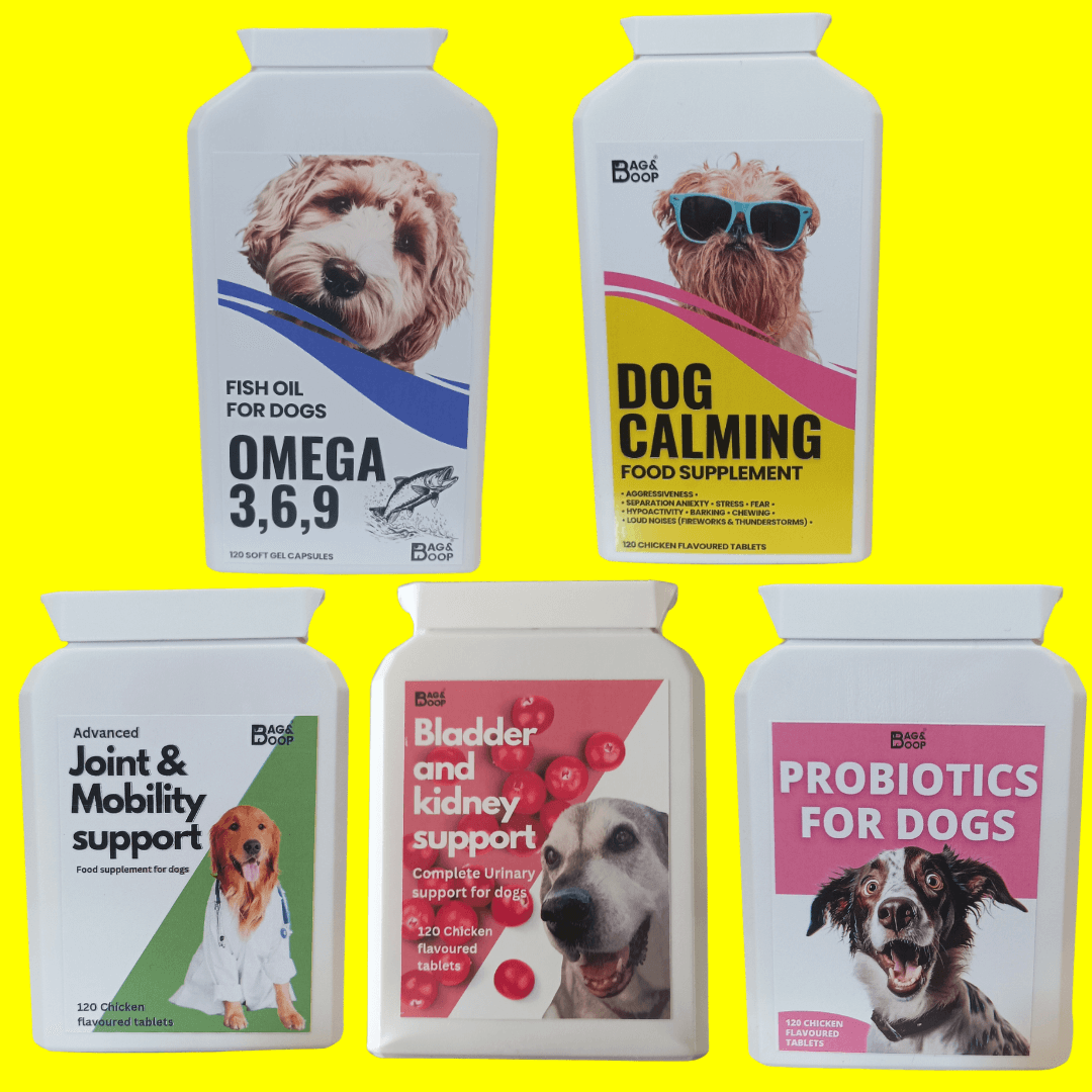 dog supplements that work