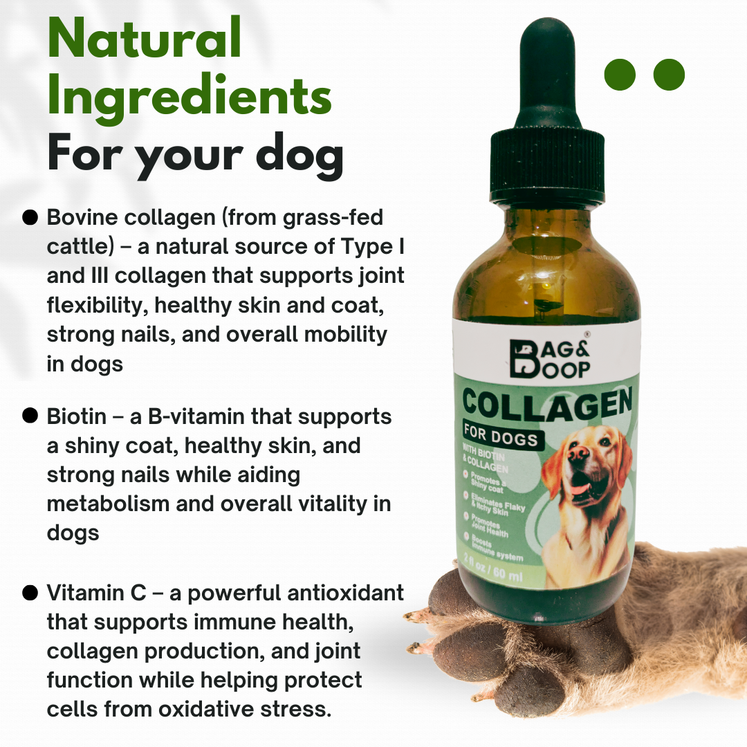 collagen helps dogs