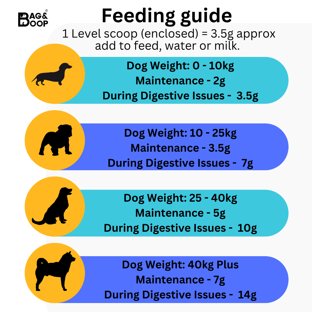 feeding guide for dogs