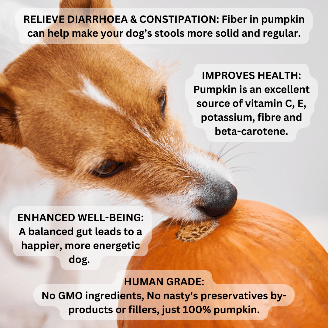 Pumpkin Powder For Dogs | Digestive aid for diarrhoea & anal scooting | 200g