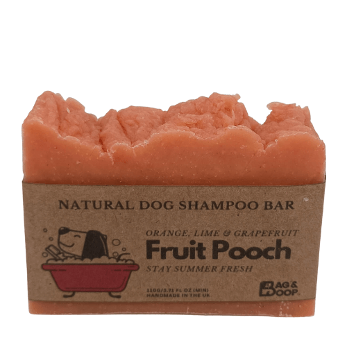 shampoo for smelly dogs