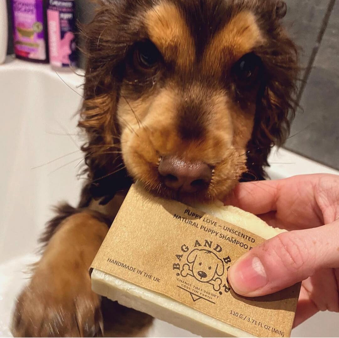 Puppy safe shampoo bar 