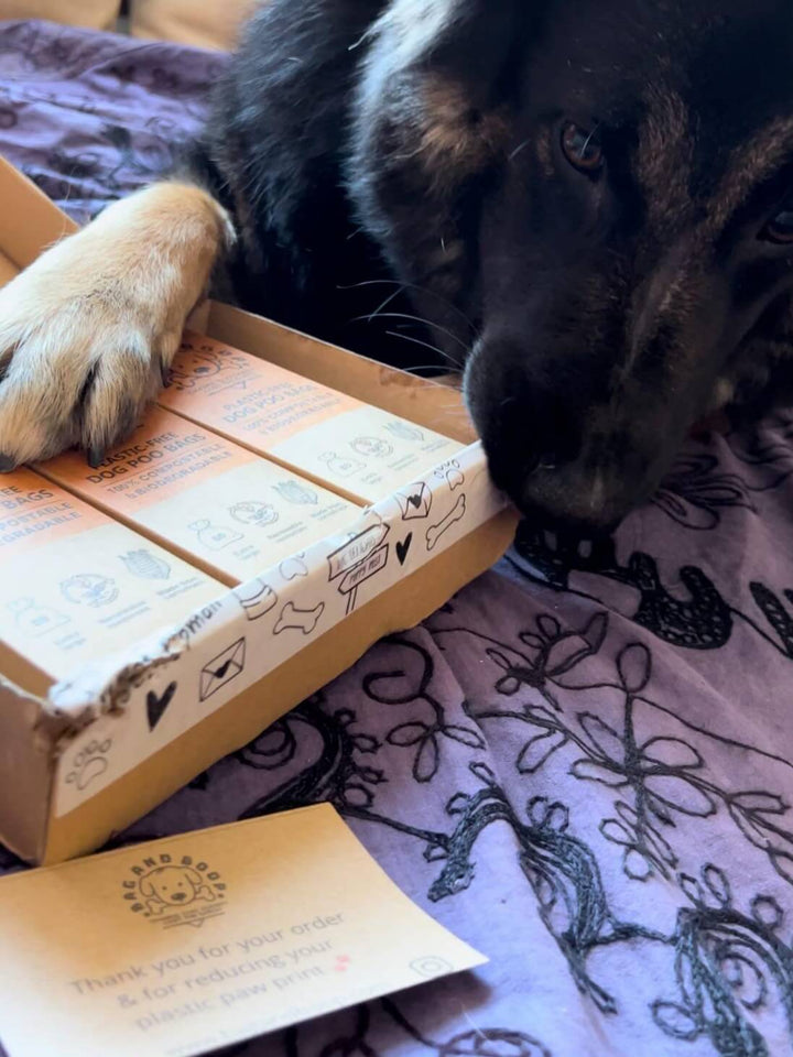 240 compostable dog poop bags