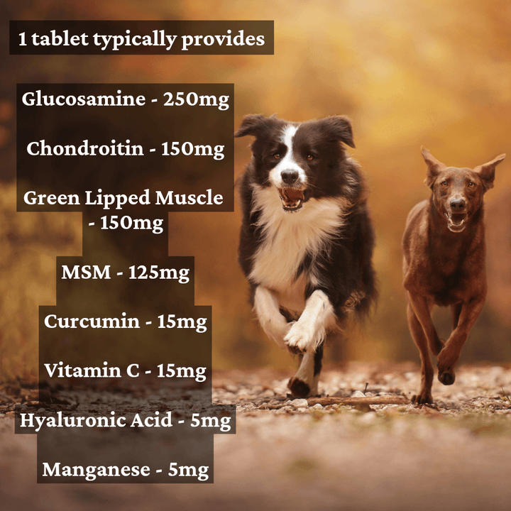 Advanced Joint & Mobility Support For Dogs | Chicken Flavour |