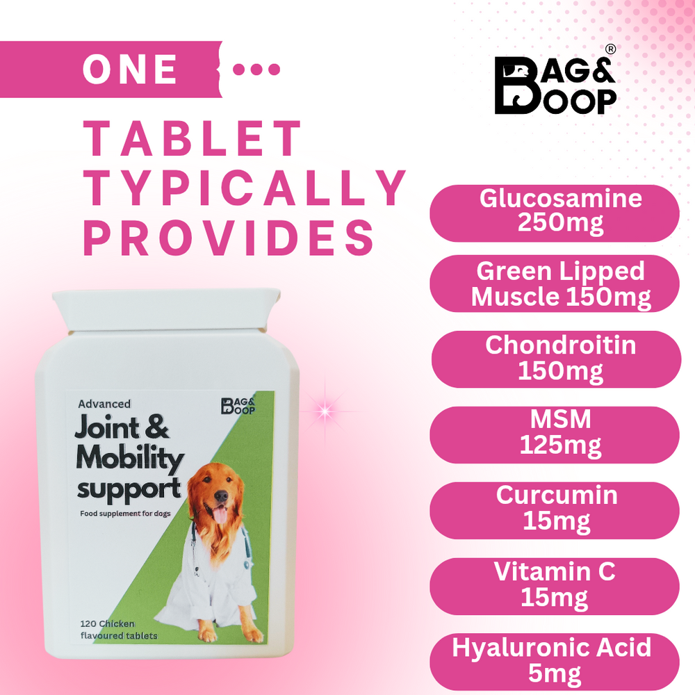 Joint supplement for older dogs