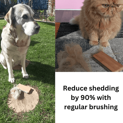 Reduce shedding by 90% with regular brushing 