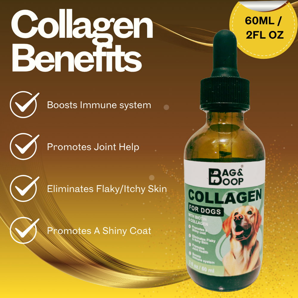 collagen benefits for dogs
