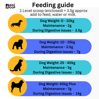 feeding guide for dogs 