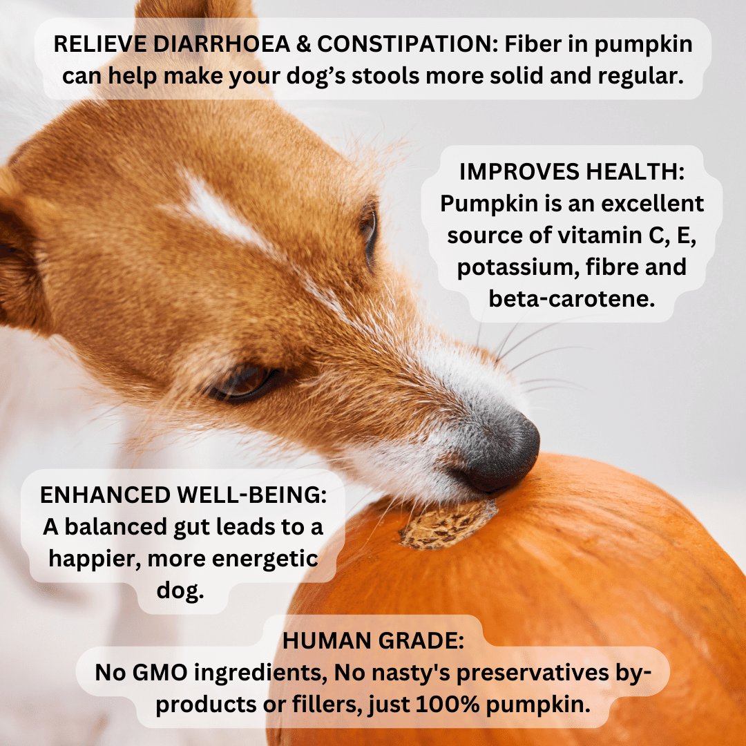 Pumpkin Powder For Dogs | Digestive aid for diarrhoea  & anal scooting | 200g