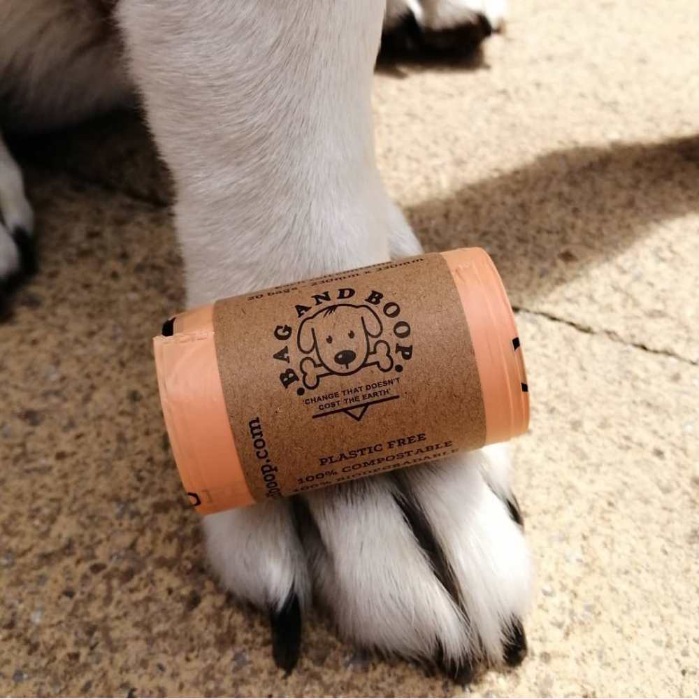 Biodegradable plastic bags best sale for dog poop