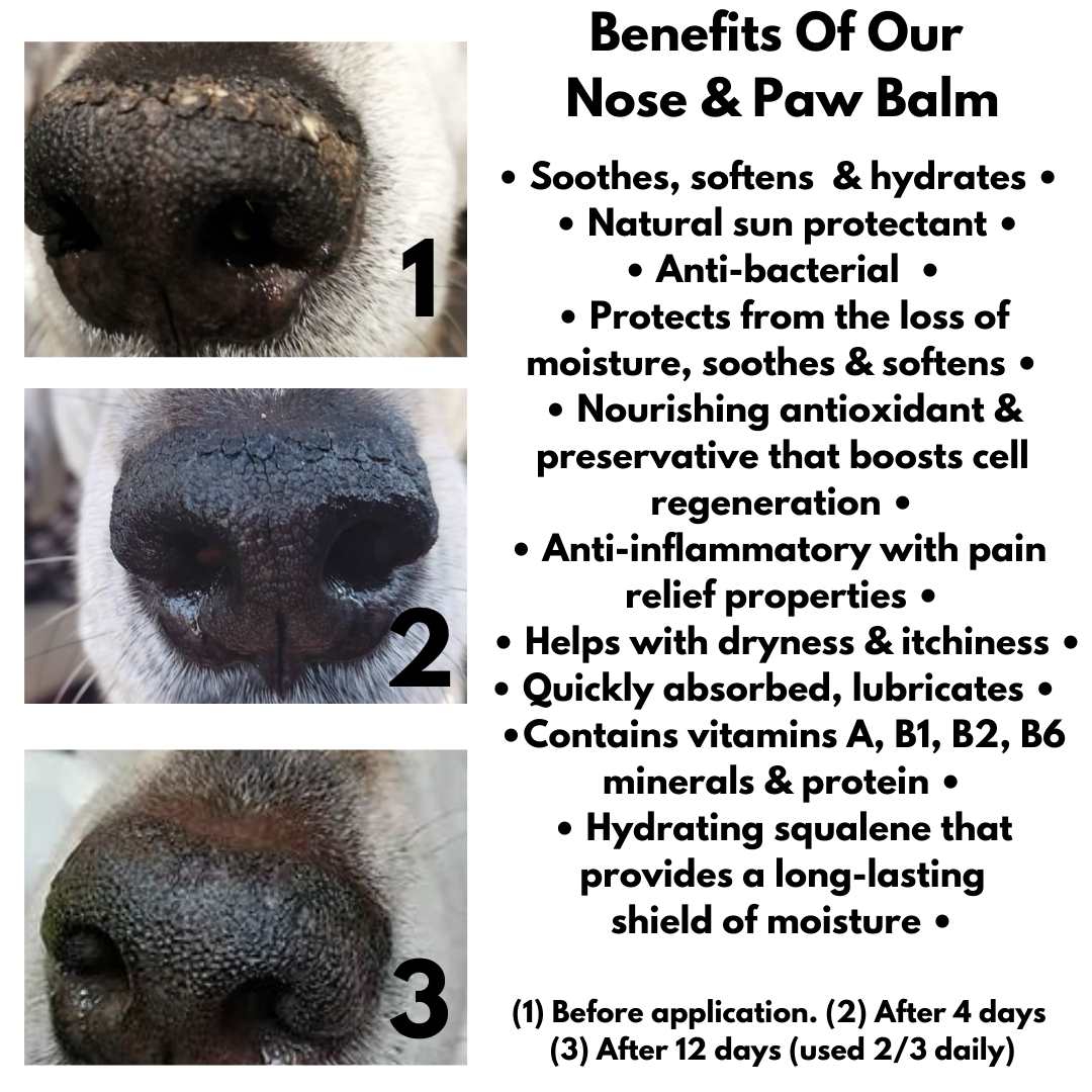 benefits of natural paw balm for dogs